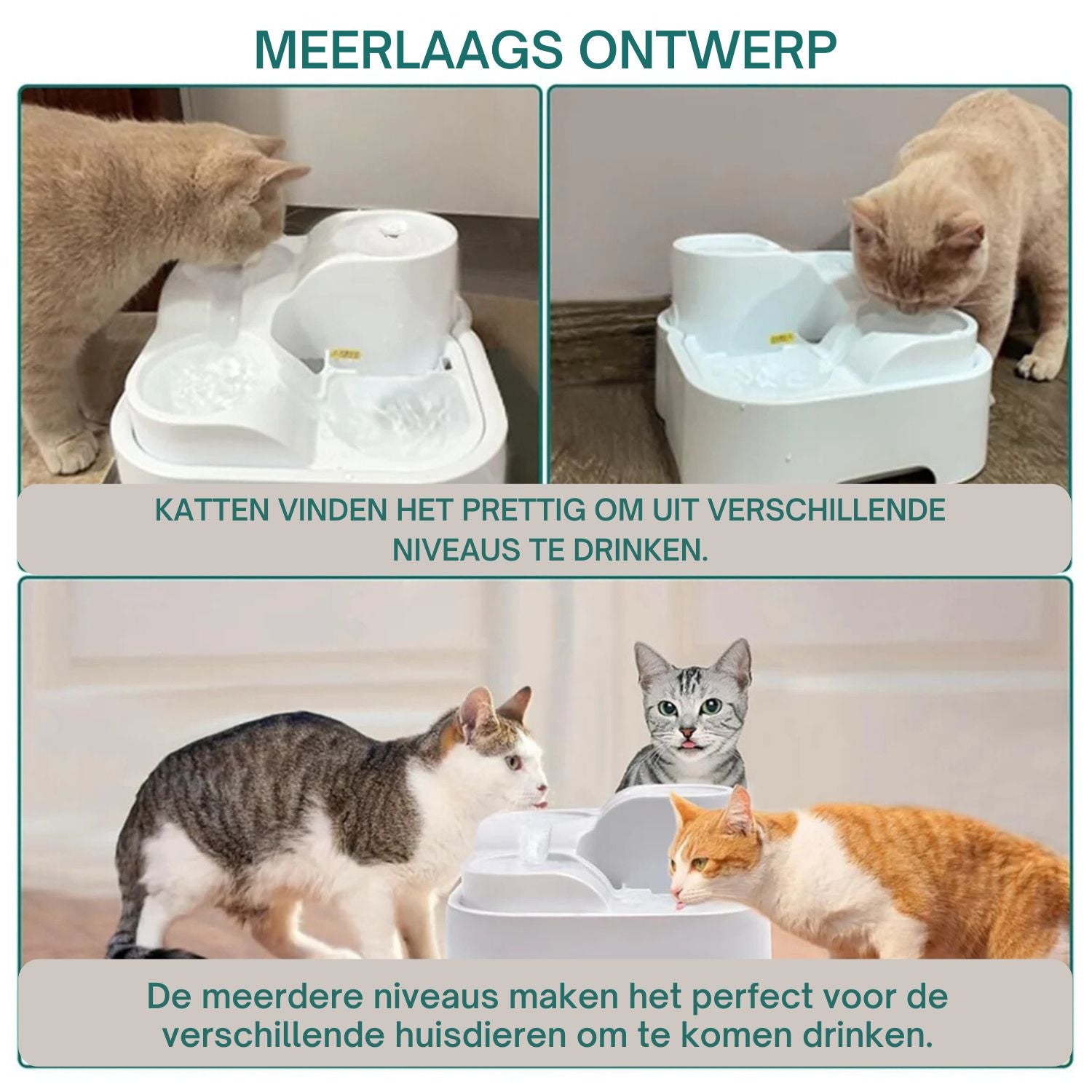 meerniveau ontwerp waterfontein voor katten en honden